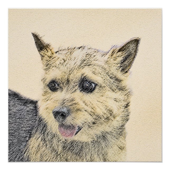 Poster Norwich Terrier Peinture - Cute Original Chien Art (Devant)