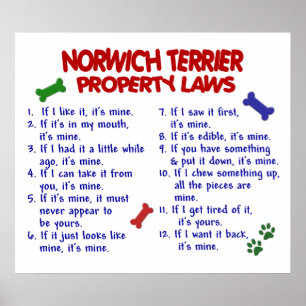 POSTER NORWICH TERRIER PL2