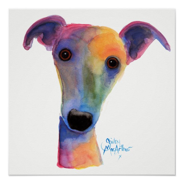 Poster Nosey Dog ' Pansy ' by Shirley MacArthur (Devant)