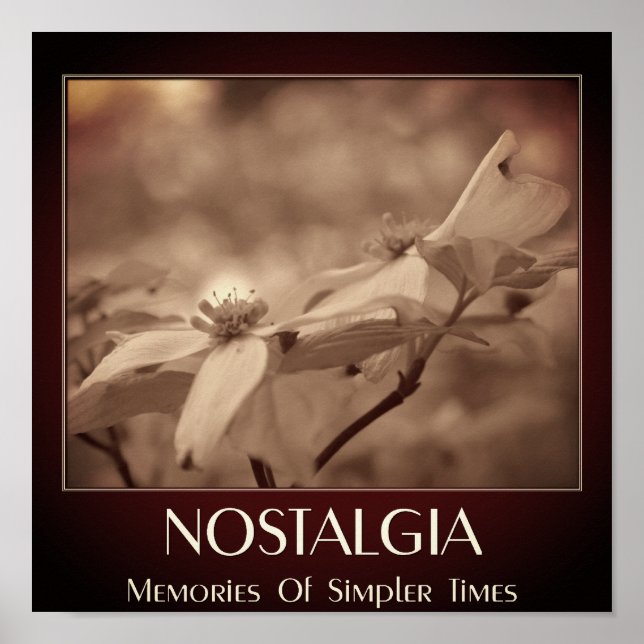 Poster Nostalgie Sepia Dogwood Fleur (Devant)