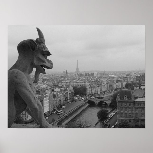Poster Notre Dame Gargoyle (Devant)