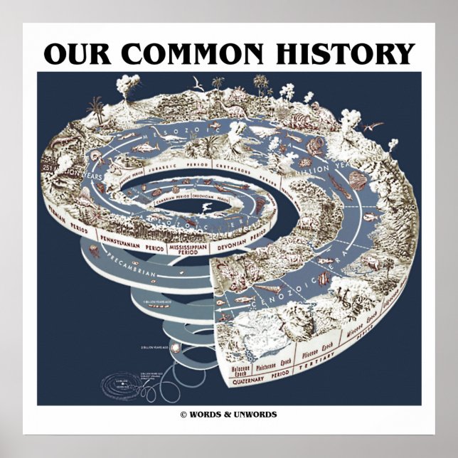 Poster Notre Histoire Commune (Histoire De La Terre Timel (Devant)