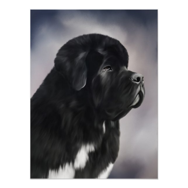 Poster Notta Bear Landseer Terre-Neuve (Devant)