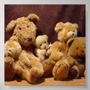 Poster Nounours