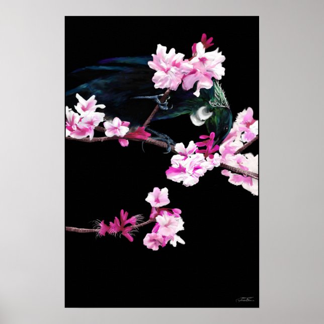 Poster Nourriture Des Oiseaux Tui Sur Les Fleurs De Ceris (Devant)