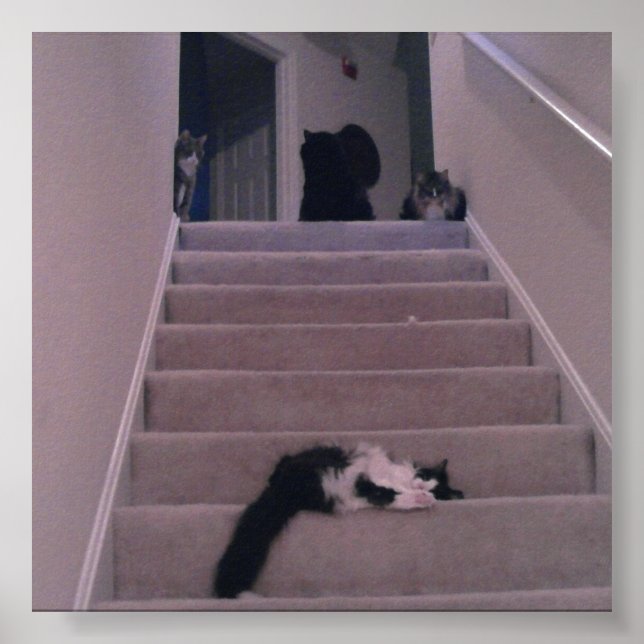 Poster Nous ne l'avons pas poussé ! (Devant)