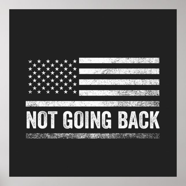 Poster Nous ne retournerons pas aux élections de Harris W (Devant)