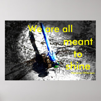 Poster Nous sommes tous censés briller