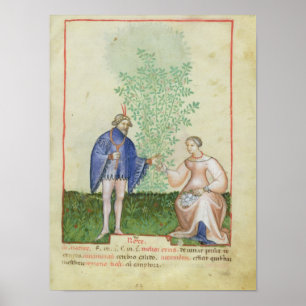Poster Nouv Acq LatRoses, de 'Tacuinum Sanitatis