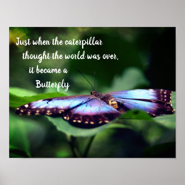Poster Nouveau début Papillon Inspiration Citation (Devant)