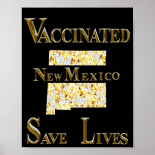 POSTER NOUVEAU MEXIQUE