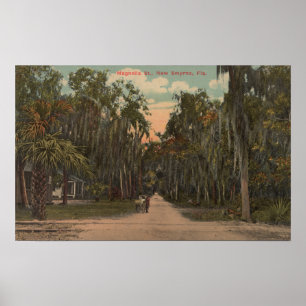 Poster Nouveau Smyrna, la Floride - vue de magnolia