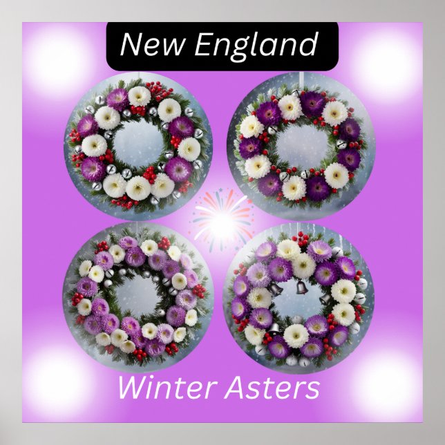 Poster Nouvelle-Angleterre Hiver Asters Wath Wall Art (Devant)