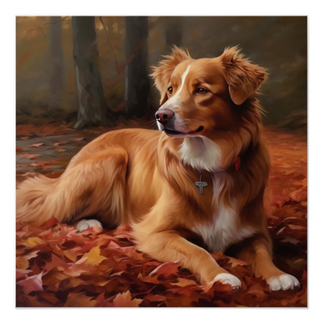 Poster Nouvelle-Écosse Canard Terrier À L'Automne Feuille (Devant)