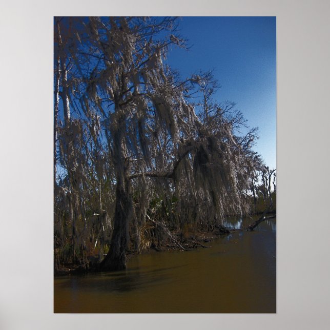 Poster Nouvelle-Orléans Bayou (Devant)