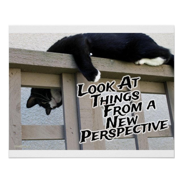 Poster Nouvelle perspective Motivant Cat Photo Art (Devant)