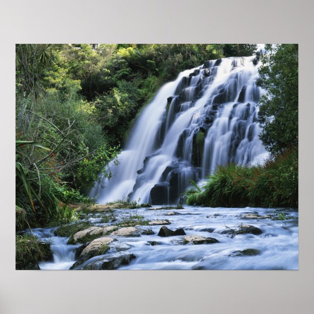 Poster Nouvelle-Zélande, North Island, Gorge de Karangaha (Devant)
