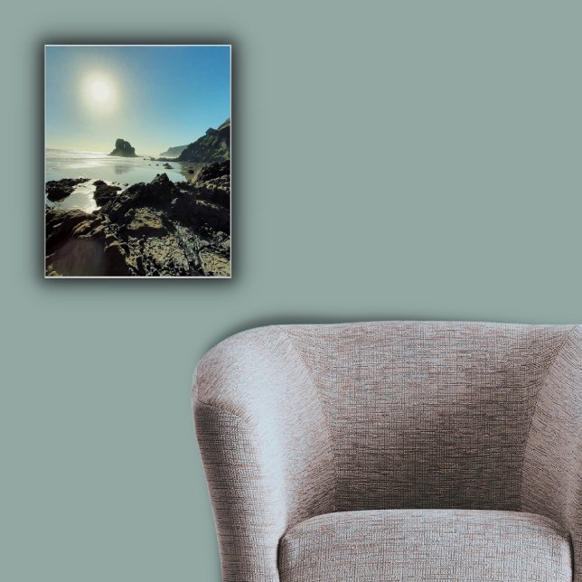 Poster Nouvelle-Zélande Sunny Rugged Plage côtière (New Zealand Sunny Rugged Coastal Beach Poster)