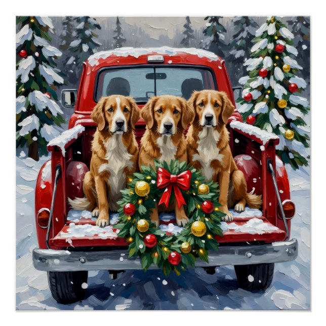 Poster Nova Scotia Duck Tolling Retriever Christmas Red (Devant)