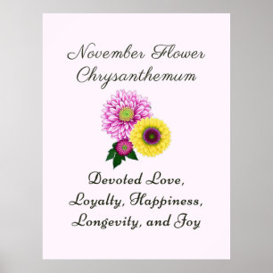Poster Novembre Mois de naissance Fleur Chrysanthème