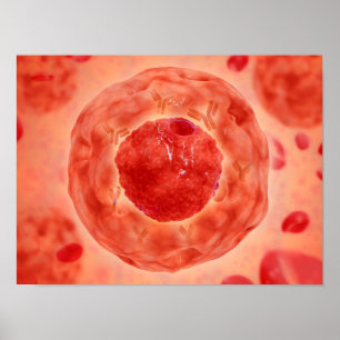 Poster Noyau de cellules avec le chromosome 2