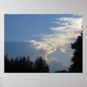 Poster Nuages et arbres