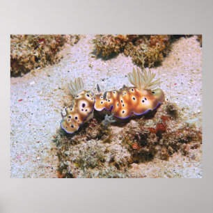 Poster Nudi Pair