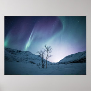 Poster Nuit Aurora Borealis