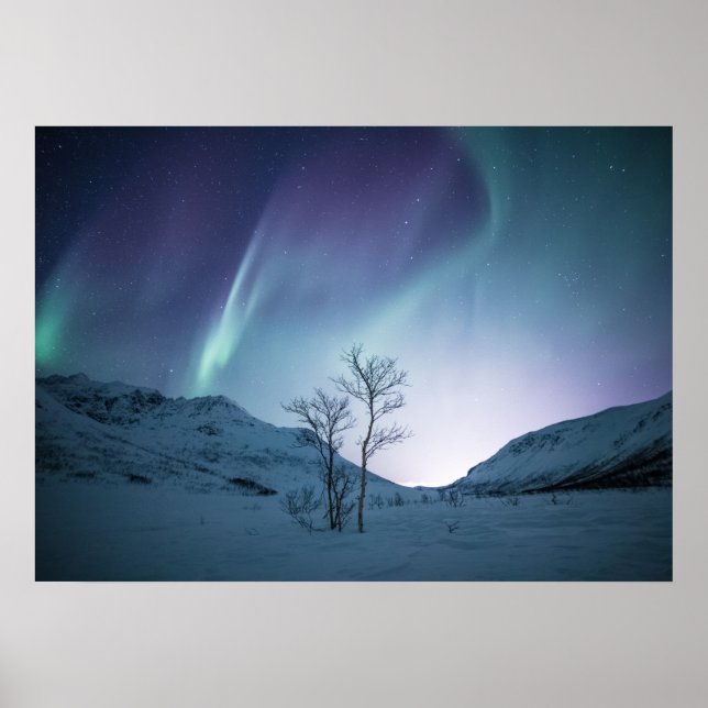 Poster Nuit Aurora Borealis (Devant)