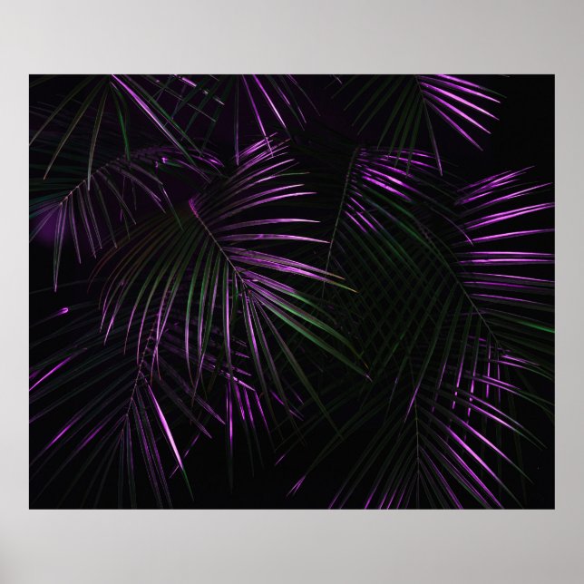 Poster Nuit dans la forêt tropicale. Palm jungle feuille  (Devant)