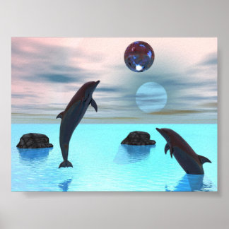 Poster Nuit des dauphins