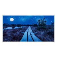 Nuit des marais