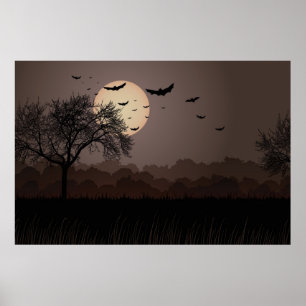 Poster Nuit noire