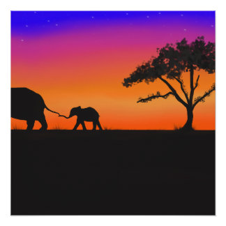 Poster Nuits de la Serengeti