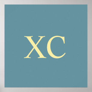 Poster Numéro romain 90