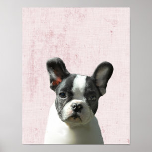 Poster Nurserie pastel rose pour chiot Boston Terrier Pee