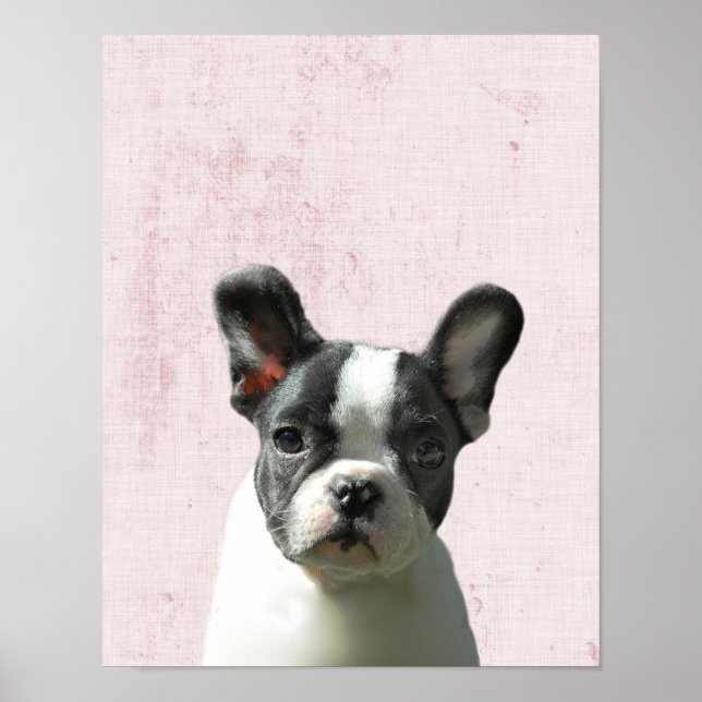 Poster Nursery pastel rose pour chiots Boston Terrier Pee (Devant)