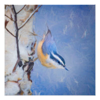 Nuthatch à poitrine rouge Peinture d'art original 