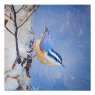Poster Nuthatch à poitrine rouge Peinture d'art original 