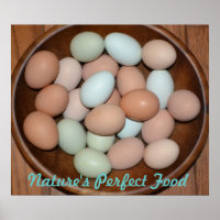 Poster nutritif aux oeufs
