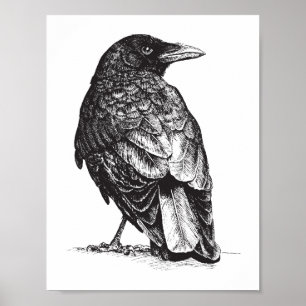 Poster NW Crow
