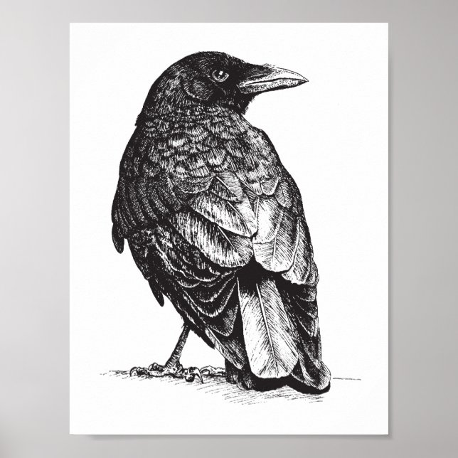 Poster NW Crow (Devant)