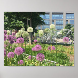 Poster NYC Columbus Circle New York City Purple Allium