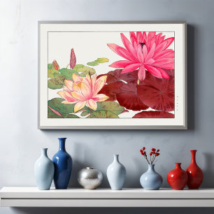 Poster Nymphaea lotus, Floral