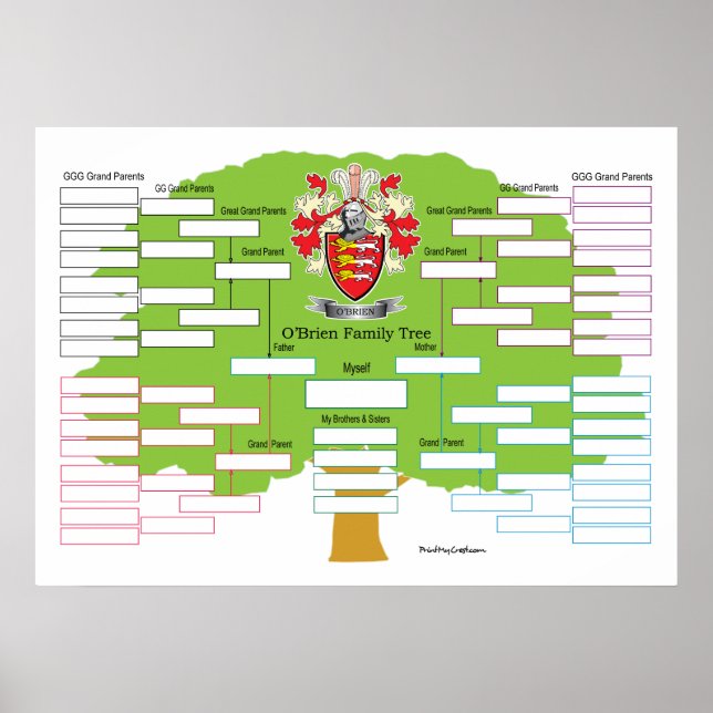 Poster O-Brien-Family-Tree (Devant)