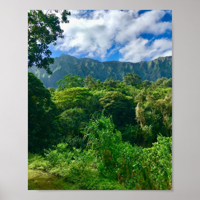 Poster Oahu, forêt tropicale d'Hawaii (Devant)