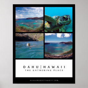 Poster Oahu Hawaï - le lieu de rassemblement