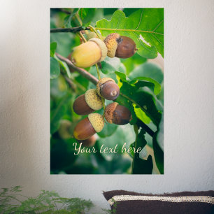 Poster Oak branches with acorns