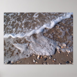 Poster Oak Island, Caroline du Nord - sable et coquillage