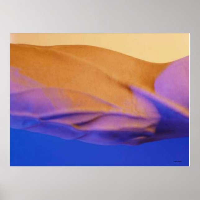 Poster Oasis (Devant)